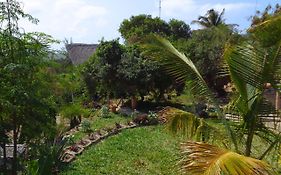 Casa Camaleao Gekko Cottadge