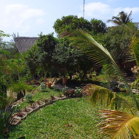 Casa Camaleao Gekko Cottadge Hotel Praia do Praia do Tofo Eksteriør billede