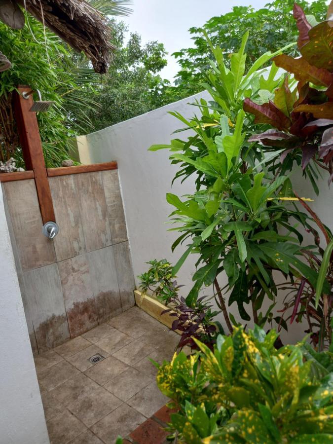 Casa Camaleao Gekko Cottadge Hotel Praia do Praia do Tofo Eksteriør billede
